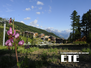 Communiqu&eacute; &Eacute;t&eacute;