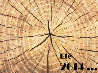 &Eacute;t&eacute; 2014