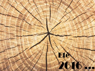 &Eacute;t&eacute; 2016