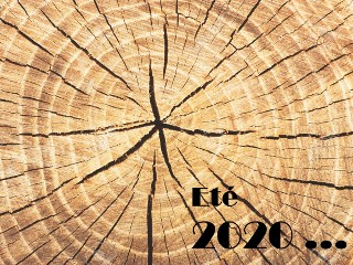 Et&eacute; 2020