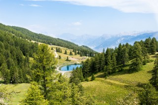 Natural space in risoul - french alps 