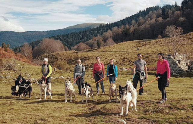 Con gli animali
