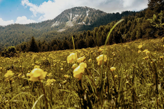 LO SPAZIO NATURALE