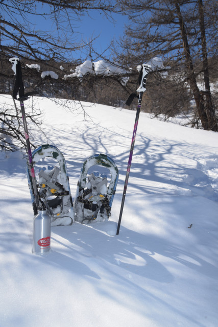 Snowshoes & guide