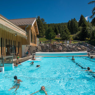 Activities, Entertainment and Services