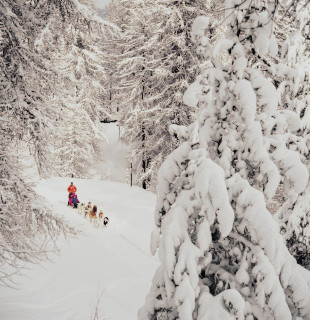 zoom-sur-insolite-hiver-petit-filtre-ok-2717