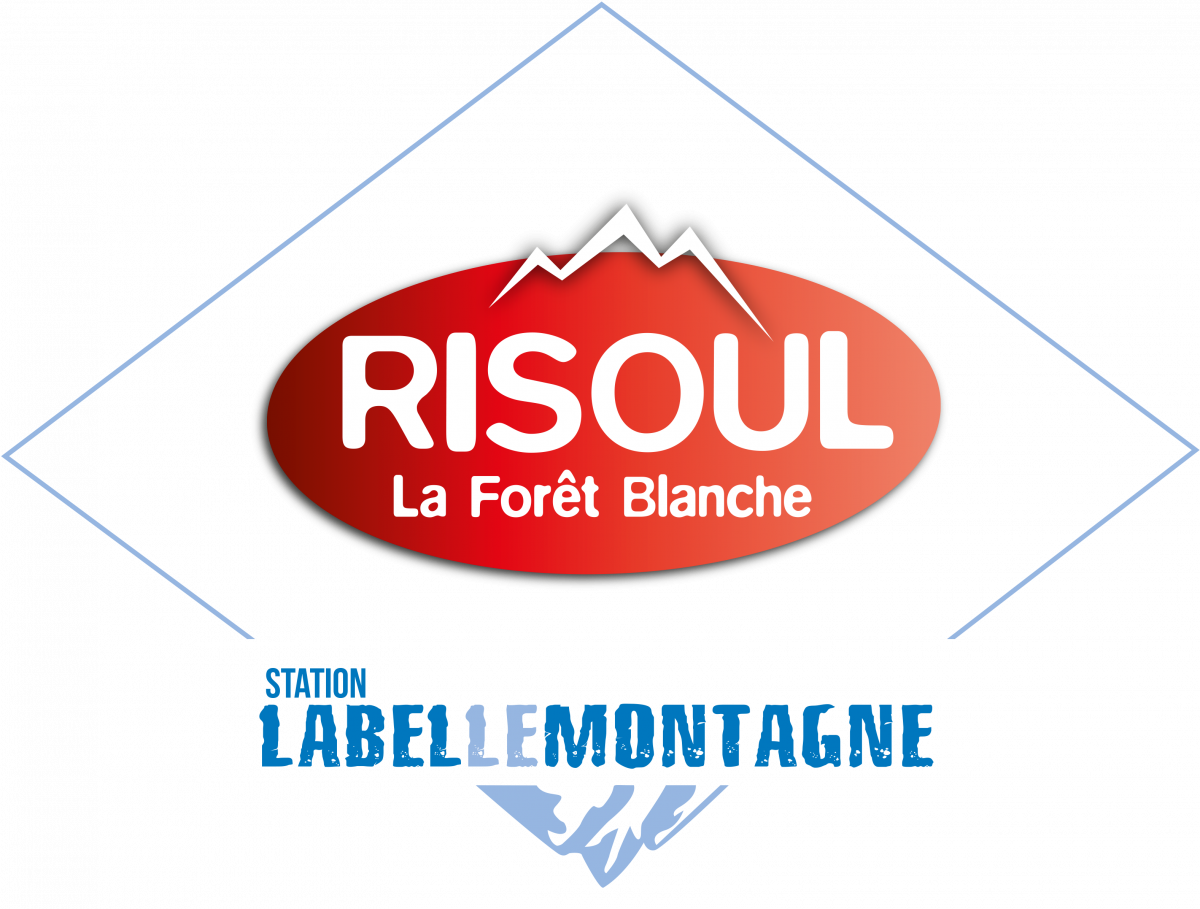 logo_domaine_skiable_risoul.png