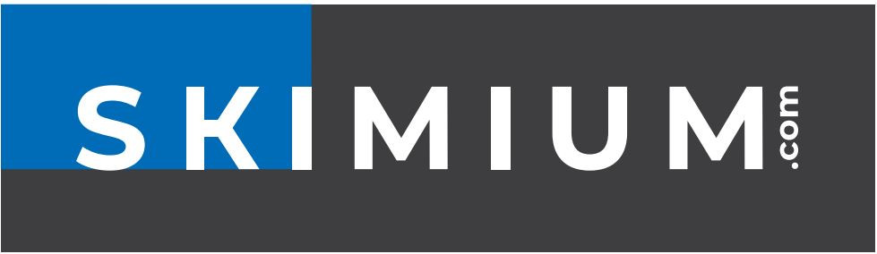 logo skimium logo skimium