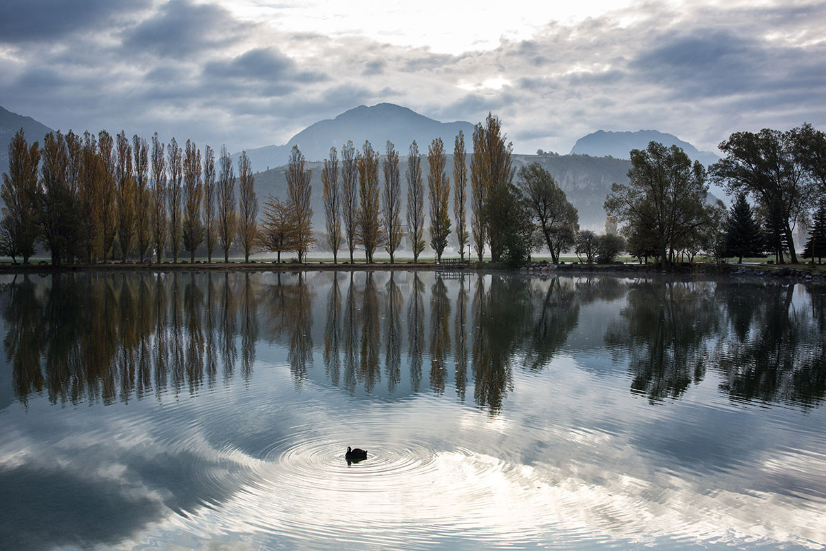 Couleurs d'automne avec poule d'eau Couleurs d'automne avec poule d'eau