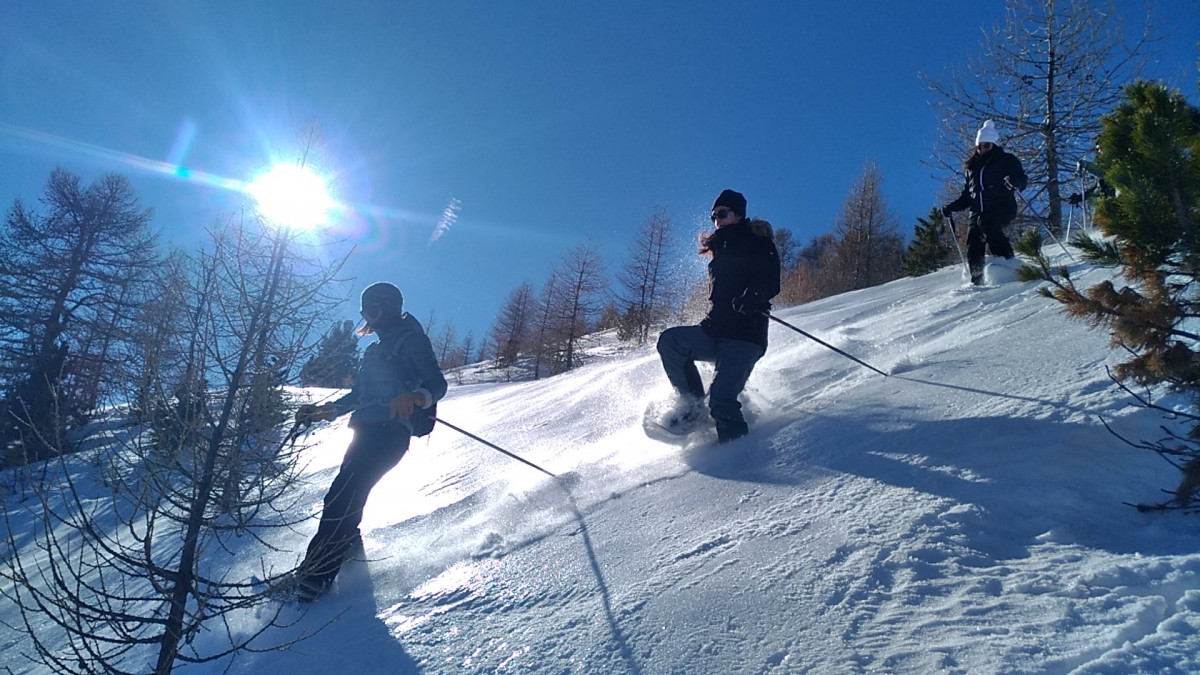 img_20190102_113943.jpg img_20190102_113943.jpg