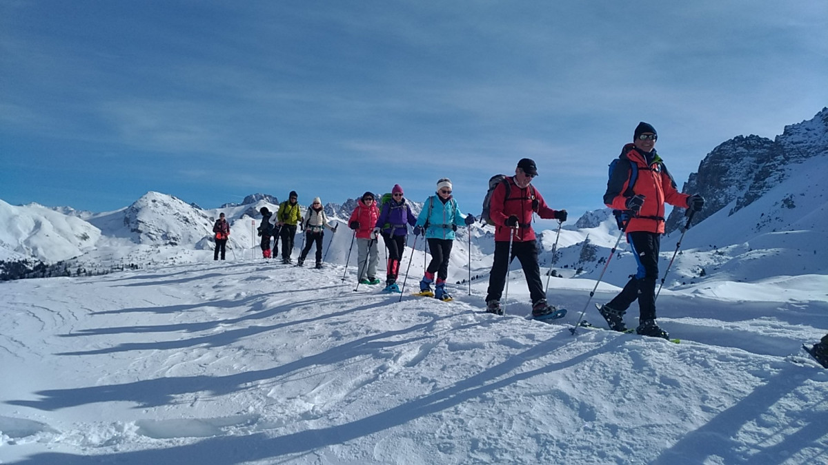 img_20190129_120400.jpg img_20190129_120400.jpg