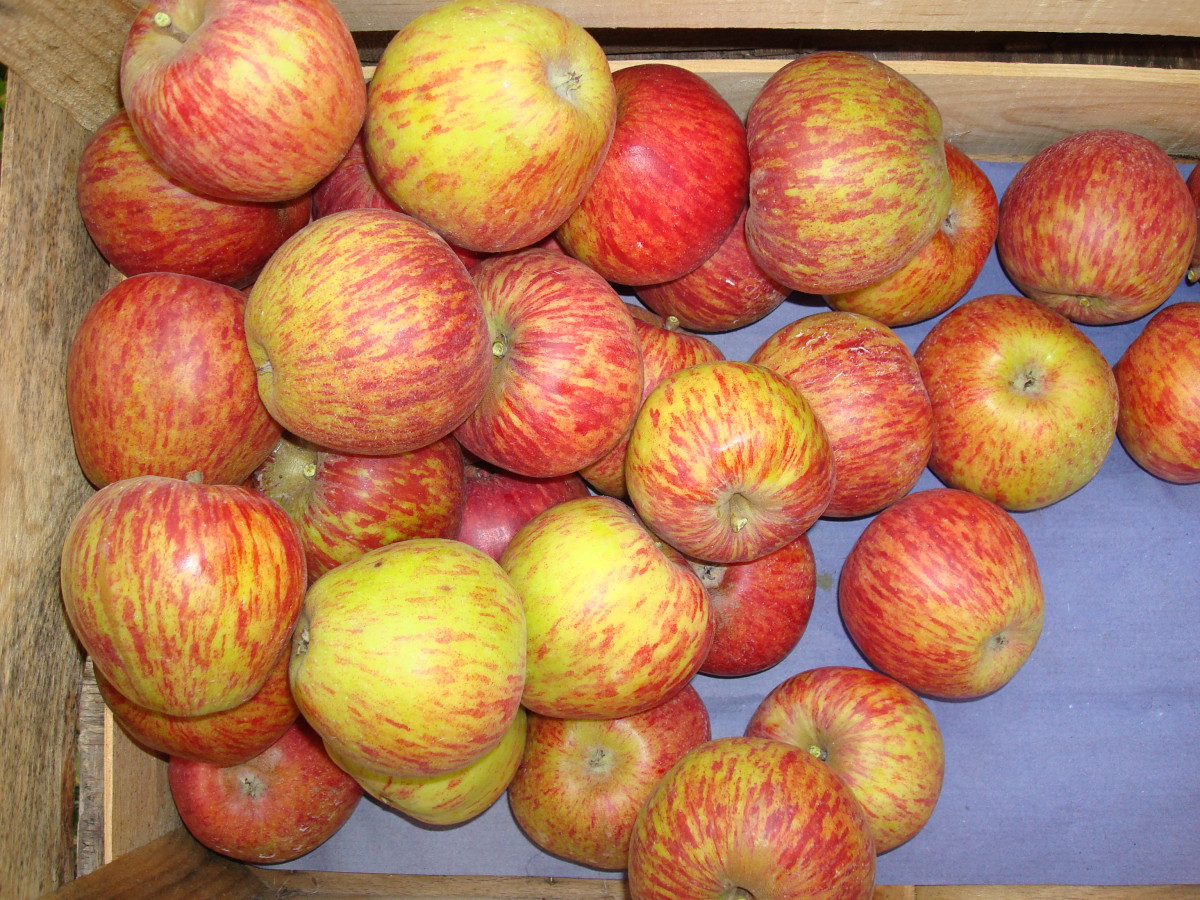 dsc00762.jpg dsc00762.jpg