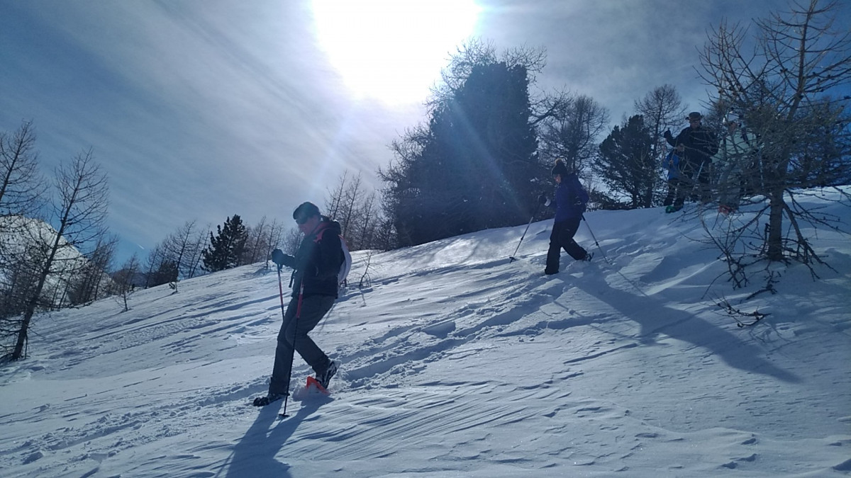 img_20190212_114335.jpg img_20190212_114335.jpg