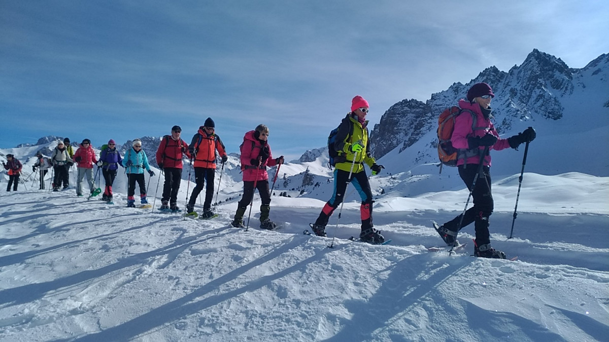 img_20190129_120356.jpg img_20190129_120356.jpg