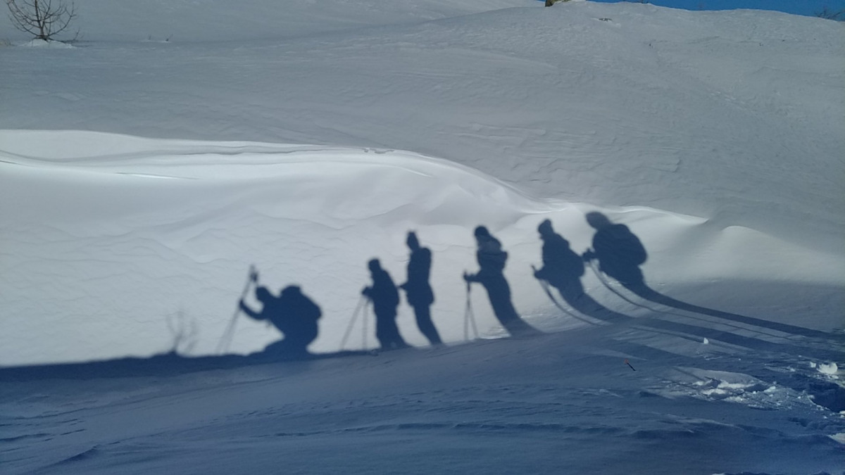 img_20190213_094701.jpg img_20190213_094701.jpg