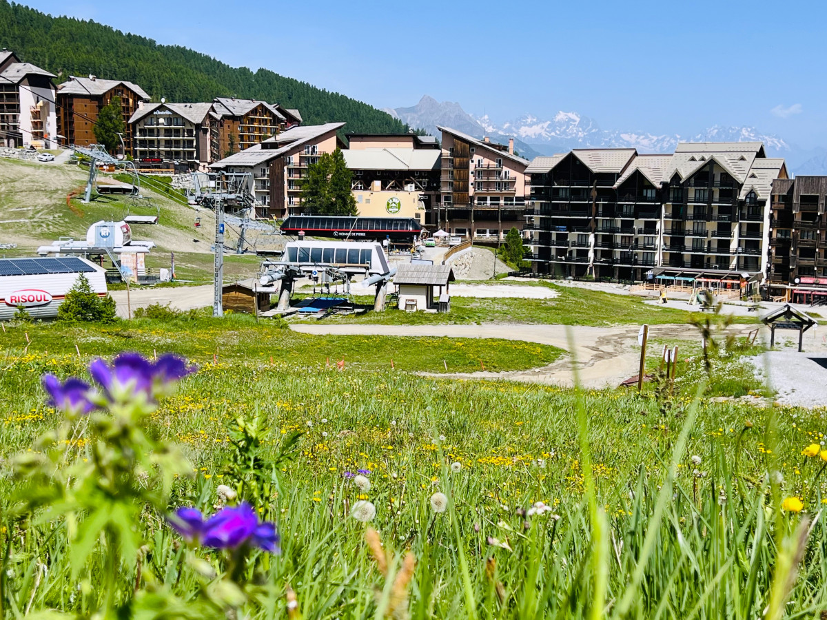 img_6496.jpg img_6496.jpg