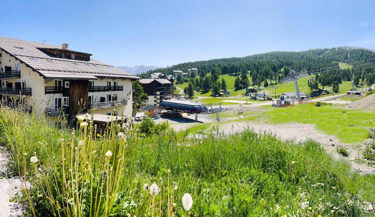 img_6475.jpg img_6475.jpg