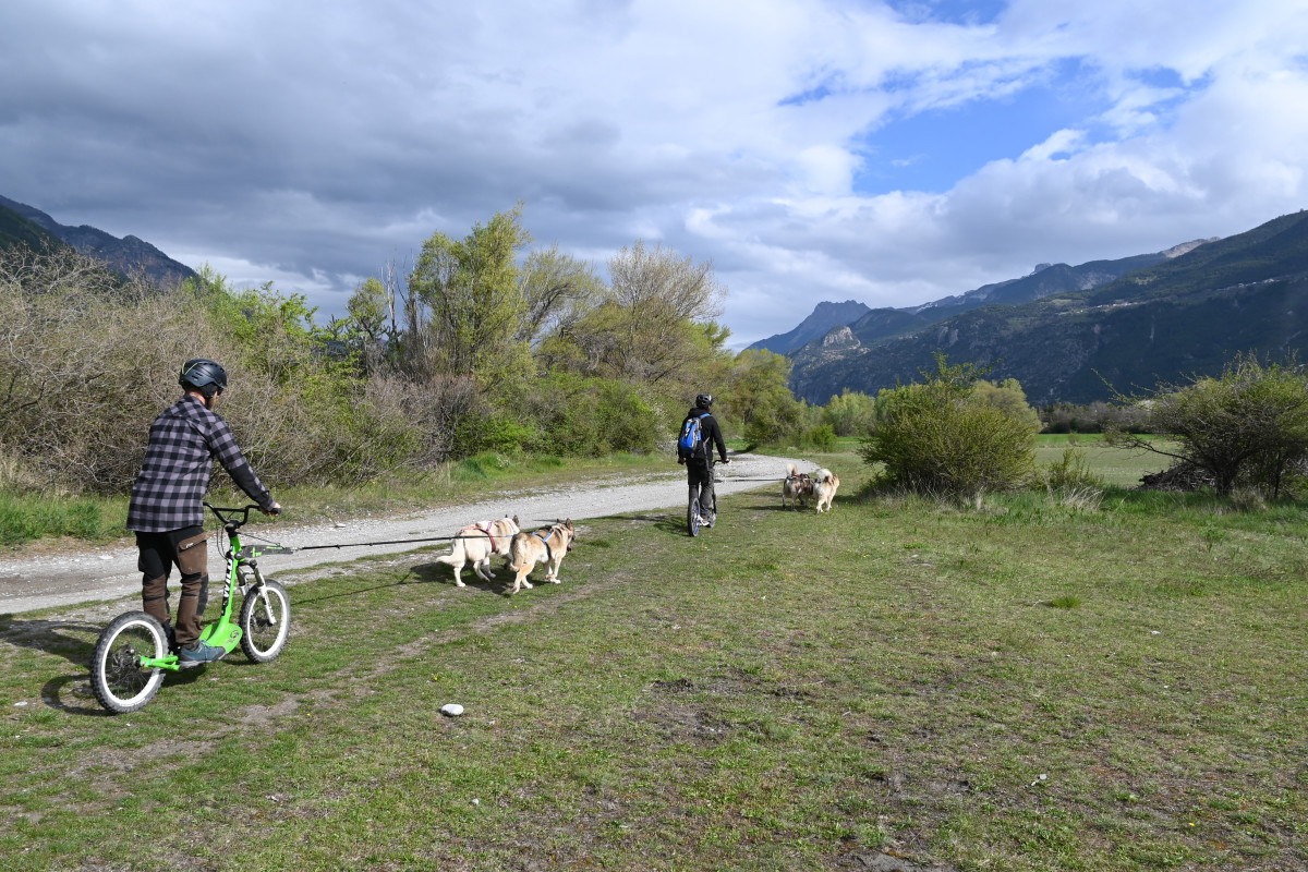 Traîneaux de la Forêt Blanche_Risoul
