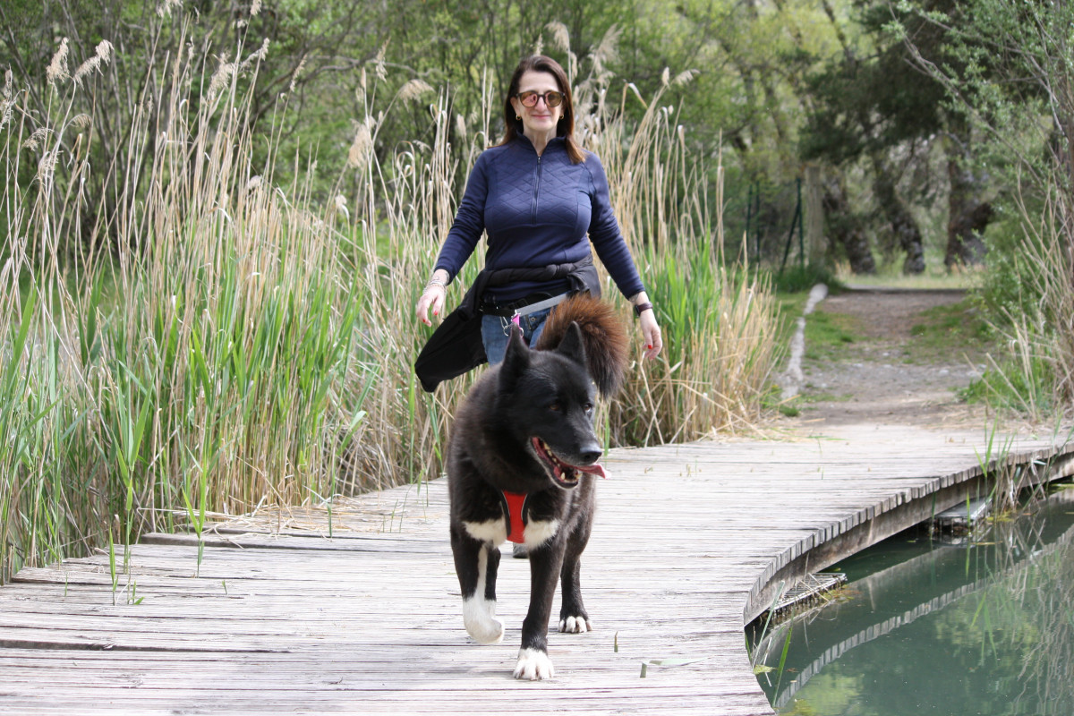 Traîneaux de la Forêt Blanche_Risoul