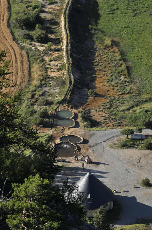 photo_m_mole_98.jpg photo_m_mole_98.jpg