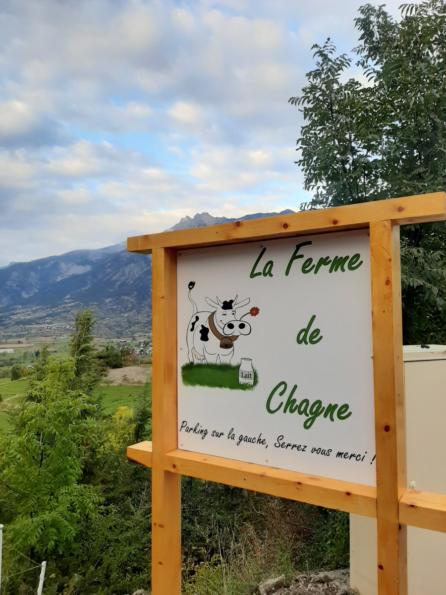 20201016_175349.jpg 20201016_175349.jpg