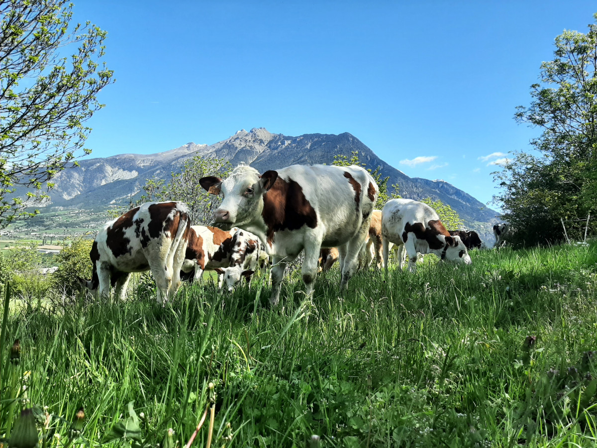 20210523_105057.jpg 20210523_105057.jpg