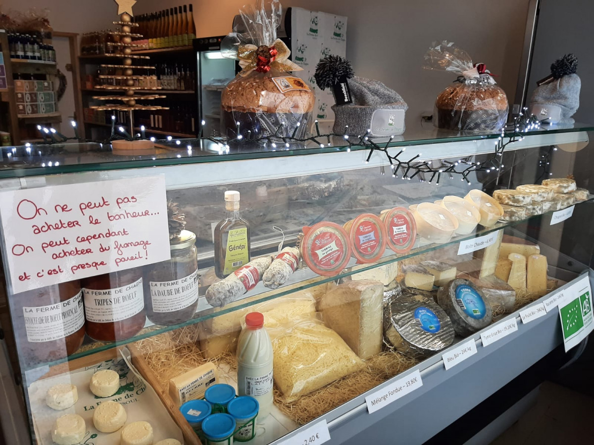 261793604_3561234144017979_3131802541402725513_n.jpg 261793604_3561234144017979_3131802541402725513_n.jpg