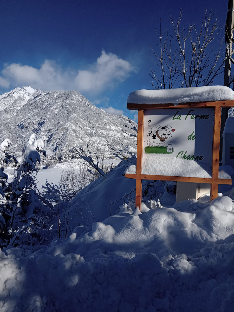 264429042_3560562210751839_3941689823808123438_n.jpg 264429042_3560562210751839_3941689823808123438_n.jpg