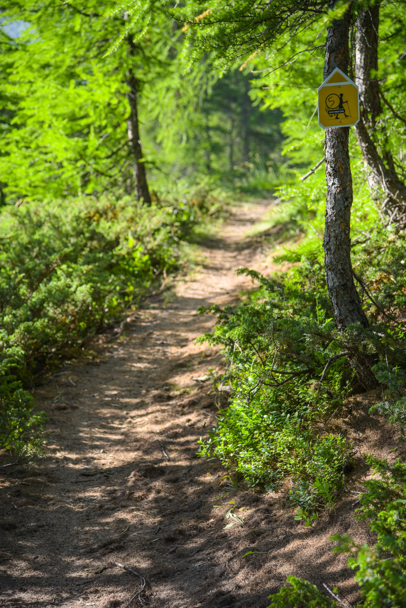 La ronde de pélinche
