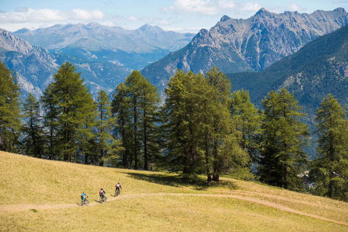 credit_photo_manu_molle_30.jpg credit_photo_manu_molle_30.jpg