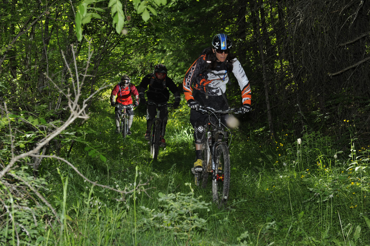 dsc0492.jpg dsc0492.jpg