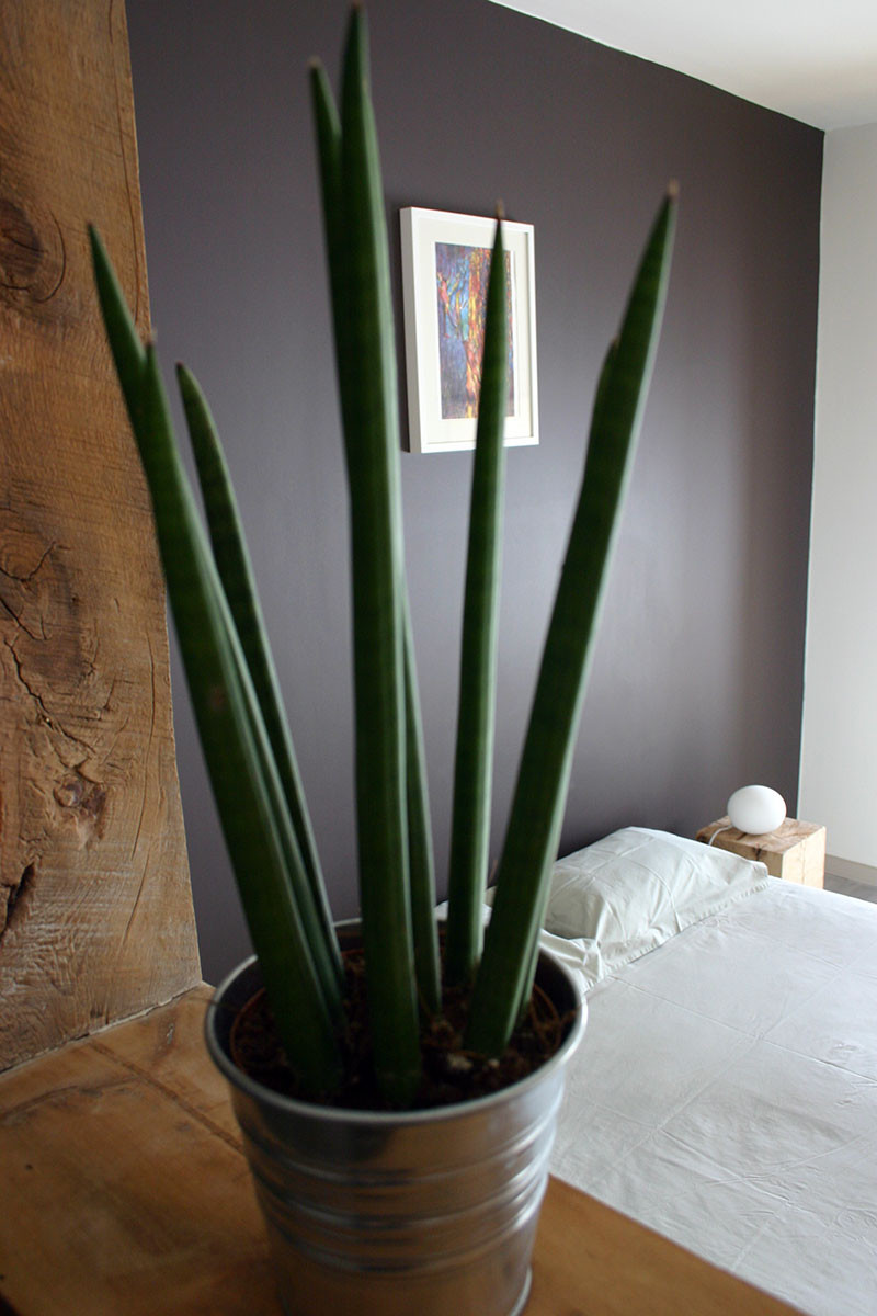 Intérieur d’une chambre Intérieur d’une chambre