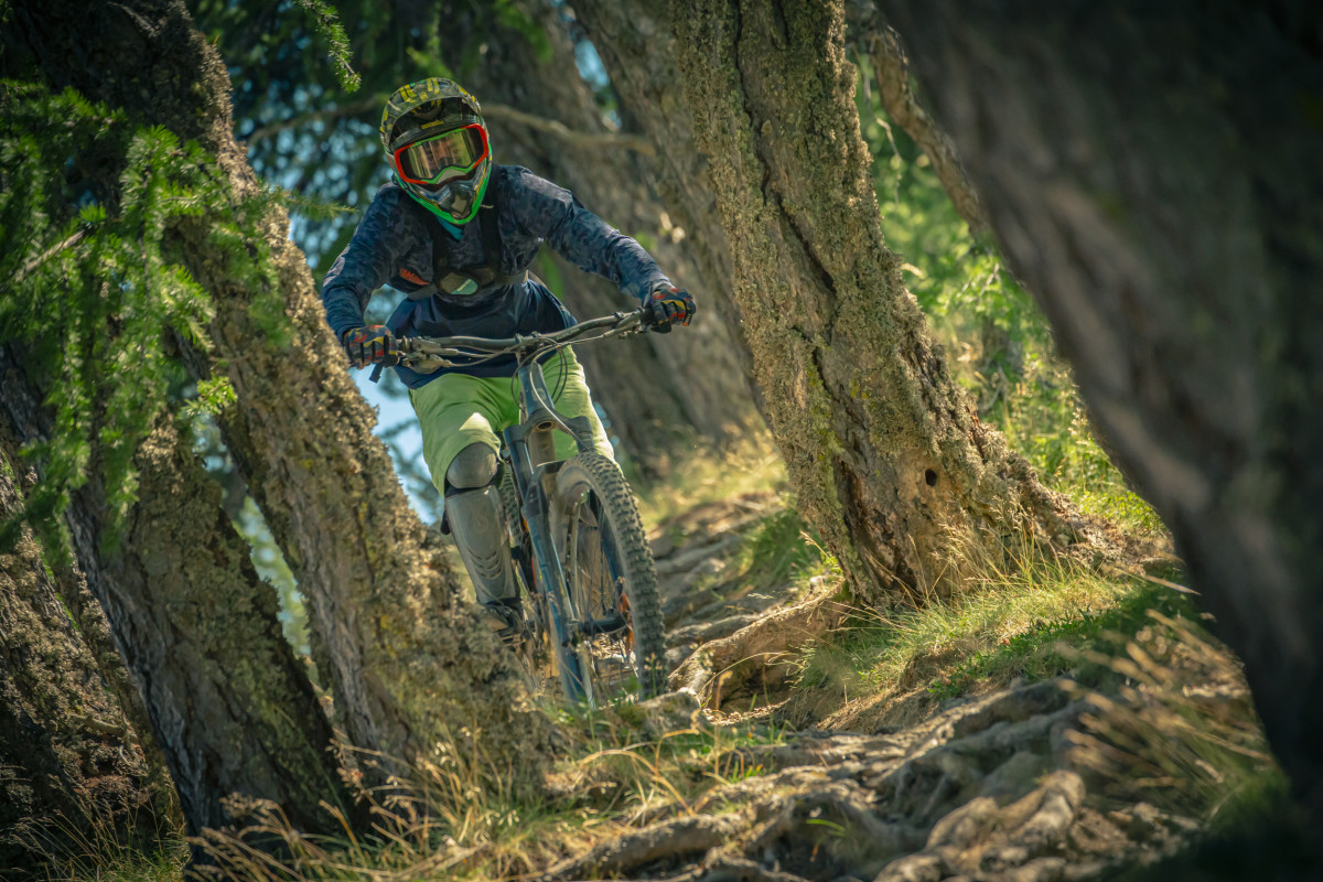 Forêt Rider