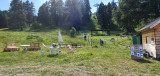 20210702_170221.jpg