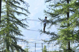 parcours accrobranche