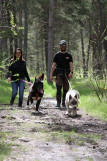 Traîneaux de la Forêt Blanche_Risoul