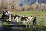 Traîneaux de la Forêt Blanche_Risoul