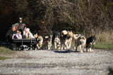 Traîneaux de la Forêt Blanche_Risoul
