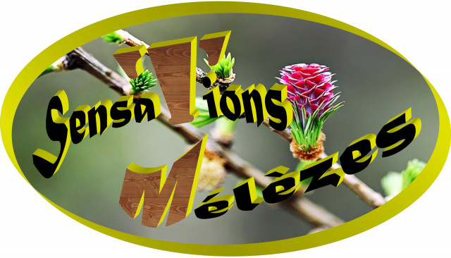 logo sensations mélèzes