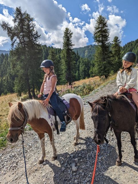 balade_poney_face_2.jpeg