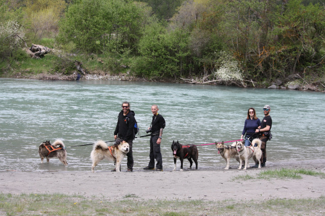 Traîneaux de la Forêt Blanche_Risoul