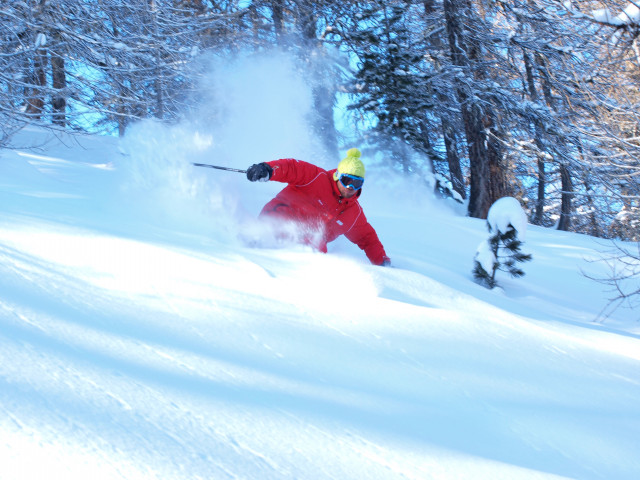 2020_5.jpg 2020_5.jpg