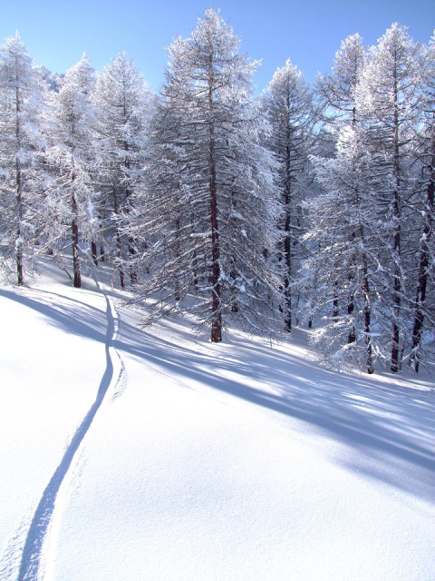 ESF - © ESF RISOUL ESF