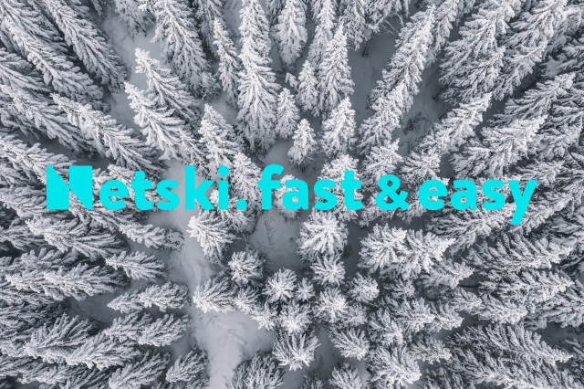 netski_trees_fasteasy.jpg netski_trees_fasteasy.jpg