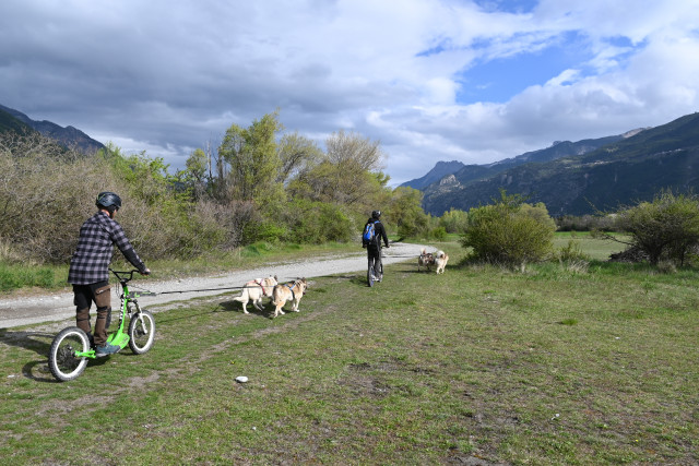 Traîneaux de la Forêt Blanche (Sleighs of white forest)_Risoul