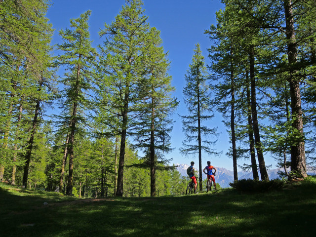 VAE & CROSS COUNTRY (XC) courses - DECOU'VERTE_Risoul