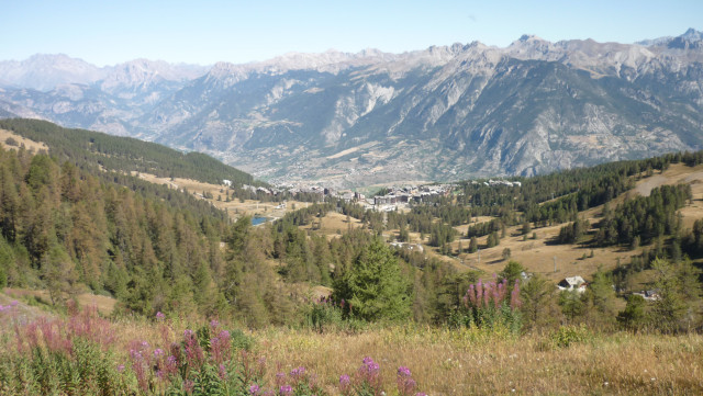 Chemin de l'écureuil