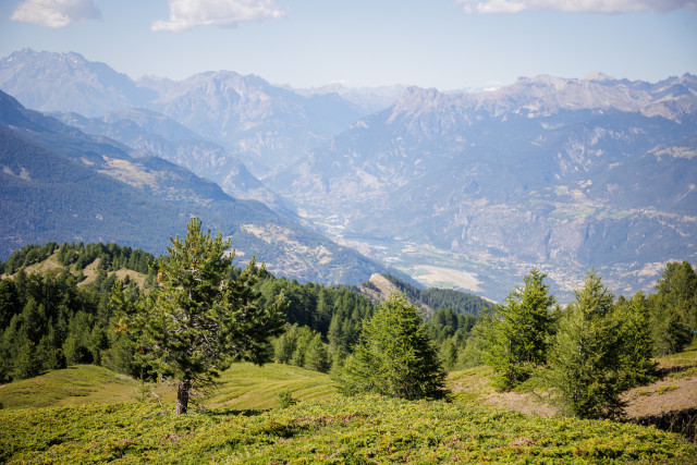 Itinéraire de randonnée - L'Antécime du Pic du Clocher - 13_Risoul