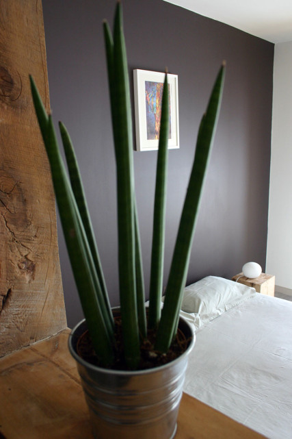 Intérieur d’une chambre Intérieur d’une chambre