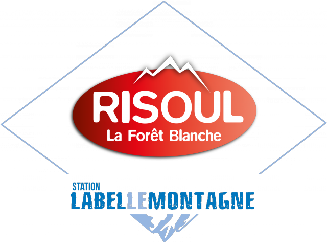 logo-domaine-skiable-risoul-10844 logo-domaine-skiable-risoul-10844